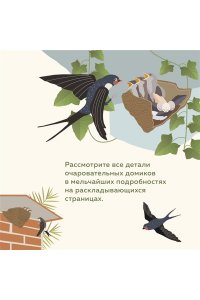 Банфи К., Перабони К. Что внутри? Как устроены дома животных
