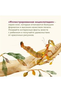 Банфи К., Перабони К. Что внутри? Как устроены дома животных