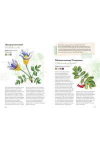 Алексей Бондарев Красная книга России. Все основные виды