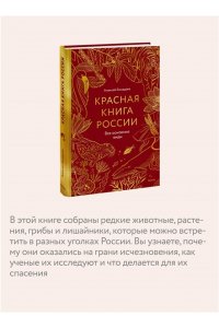Алексей Бондарев Красная книга России. Все основные виды