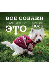 К-РЬ НАСТ 2026 ВСЕ СОБАКИ ДЕЛАЮТ ЭТО 300*300ММ А4 СКРЕПКА 968-7