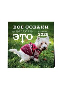 К-РЬ НАСТ 2026 ВСЕ СОБАКИ ДЕЛАЮТ ЭТО 300*300ММ А4 СКРЕПКА 968-7