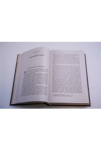 Беляков С.С. Тень Мазепы: украинская нация в эпоху Гоголя