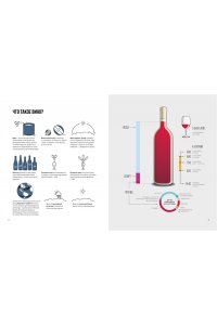 Вино. Практический путеводитель