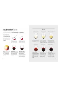 Вино. Практический путеводитель