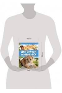 Детеныши животных (Энциклопедия для детского сада)
