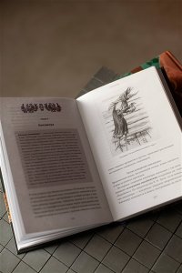 Рябов В. Русская фольклорная демонология. От оборотней и мертвецов до русалок и огненного змея