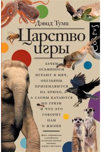 Туми Д. Царство игры