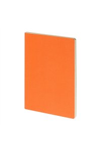 ТЕТР 40 КЛЕТ А4 БИЗНЕС BRUNO VISCONTI PRAGMATIC ОРАНЖЕВЫЙ 7-40-1249/01 (3616)