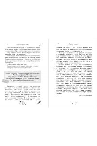 Райбер В. Магазин жутких игрушек