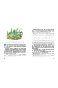 Урфин Джюс и его деревянные солдаты