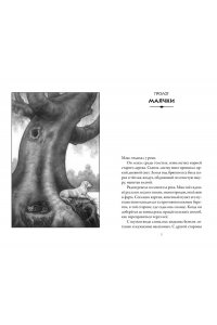 Верные. Книга 3. Дорога чудес и невзгод