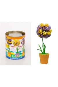 НАБОР Д/ТВОРЧ ТОПИАРИЙ КРОКУСЫ ЖЕЛ/ФИОЛЕТ 5153