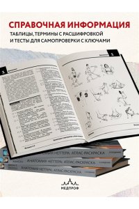 Анатомия Неттера: атлас-раскраска