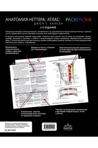Анатомия Неттера: атлас-раскраска