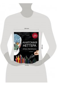 Анатомия Неттера: атлас-раскраска