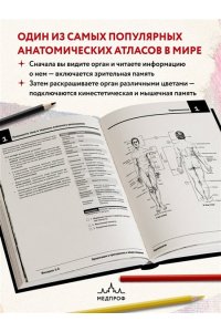 Анатомия Неттера: атлас-раскраска