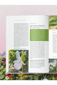 Самойлова С.Н. Цветущий сад из многолетников. Как создать цветники, которые будут радовать год за годом