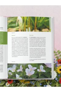 Самойлова С.Н. Цветущий сад из многолетников. Как создать цветники, которые будут радовать год за годом