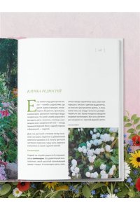 Самойлова С.Н. Цветущий сад из многолетников. Как создать цветники, которые будут радовать год за годом