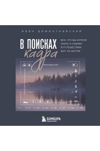 Дементиевский И.С. В поисках кадра. Все, что вы хотели знать о съемке в путешествии шаг за шагом