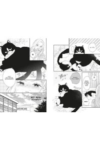 Сэнри М. Кот и поцелуй. Том 2