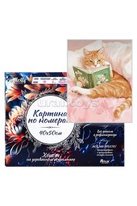 РОСПИСЬ ПО НОМЕРАМ 40*50 КОТ С КНИГОЙ HR0767 (2487)