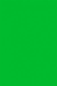 ЛИСТ FOM 2ММ ОДНОТОННЫЙ EVA-015 42Х62СМ САЛАТОВЫЙ 2145