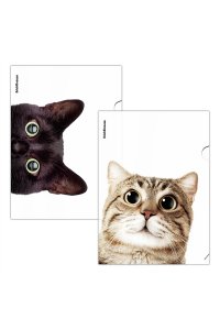 ПАПКА УГОЛОК А4 HIDING CATS В АСС ЕК 61139