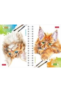 ЗАПИСН КН 80Л А6 ХАТБЕР (ДВОЙНАЯ) ТВ СПИРАЛЬ РЫЖИЙ КОТИК 80ЗКТД6В1ГР_29844 (2579)