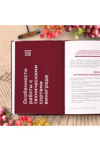 Богачев Е.С. Домашнее виноделие от А до Я: виноградное вино. Пошаговое руководство