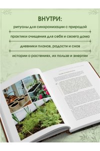 Кузина А.С. Шаманчай: год в гармонии с природой. Книга о растениях, их силах и применении