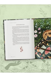 Кузина А.С. Шаманчай: год в гармонии с природой. Книга о растениях, их силах и применении