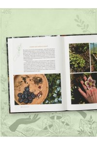 Кузина А.С. Шаманчай: год в гармонии с природой. Книга о растениях, их силах и применении