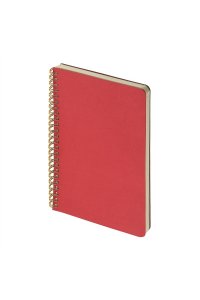 ТЕТР 60 КЛЕТ БИЗНЕС BRUNO VISCONTI PRAGMATIC КРАСНЫЙ 7-60-1255/05 (7327)