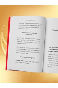 Сингх М. 12 Законов кармы