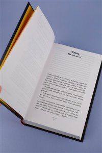 Подшибякин А.М. Последний день лета
