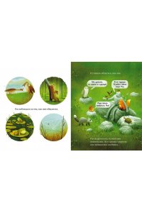 Питер Браун Дикий робот на острове