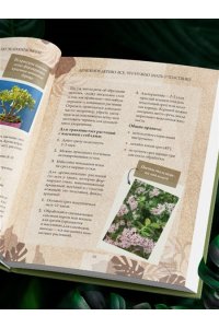 Зеленов И.А. Зеленая комната. Как стать повелителем домашних джунглей