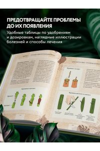 Зеленов И.А. Зеленая комната. Как стать повелителем домашних джунглей