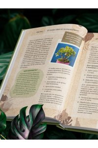 Зеленов И.А. Зеленая комната. Как стать повелителем домашних джунглей