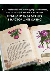 Зеленов И.А. Зеленая комната. Как стать повелителем домашних джунглей