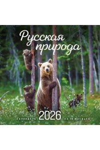 К-РЬ НАСТ 2026 РУССКАЯ ПРИРОДА 300*300ММ А4 СКРЕПКА 653-1