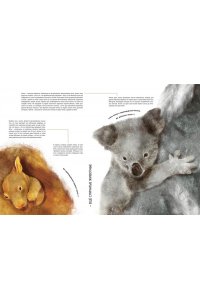 Фогато В. Детёныши животных в натуральную величину