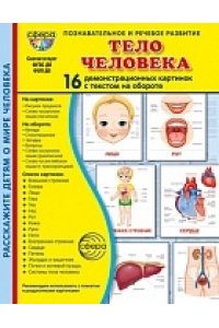Демонстрационные картинки СУПЕР Тело человека.16 демонстрационных картинок с текстом (173х220 мм)