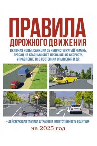 Правила дорожного движения на 2025 год. Действующая таблица штрафов и ответственность водителя