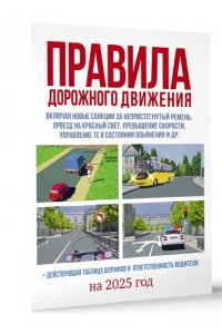 Правила дорожного движения на 2025 год. Действующая таблица штрафов и ответственность водителя
