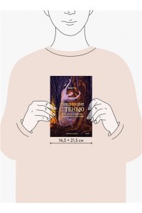 Дэвид Ричо Танцующие с тенью. Архетип тени для трансформации внутренних демонов в силу и свободу