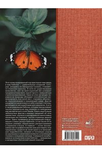 Спектор А.А. Бабочки