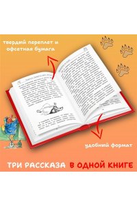 Медвежонок Паддингтон. И снова захватывающие приключения